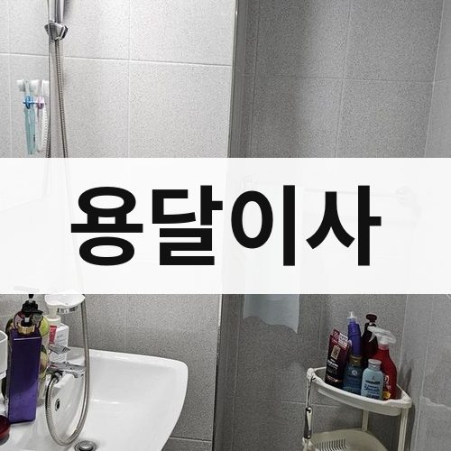 대구 서부 용달이사 포장이사