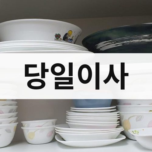 대구 서부 당일이사 포장이사